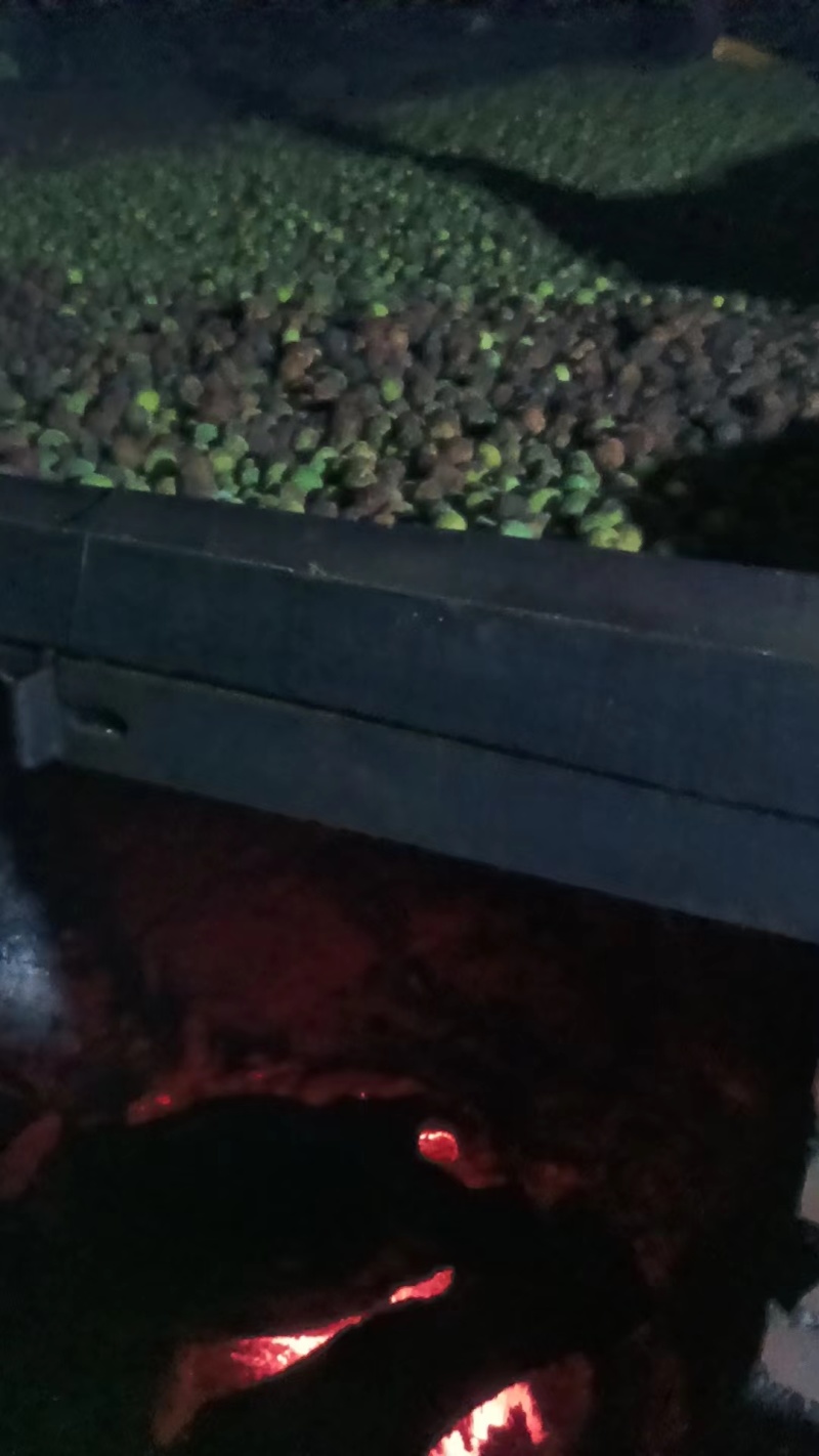 乌梅干