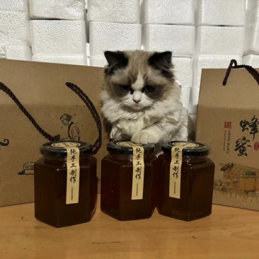 甘肃武山土蜂蜜自家基地按需包装保证质量假一赔十