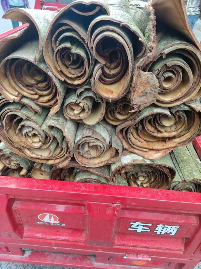 出售鲜厚扑，各种干货厚扑，精品厚扑量大丛优
