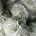 精品优一