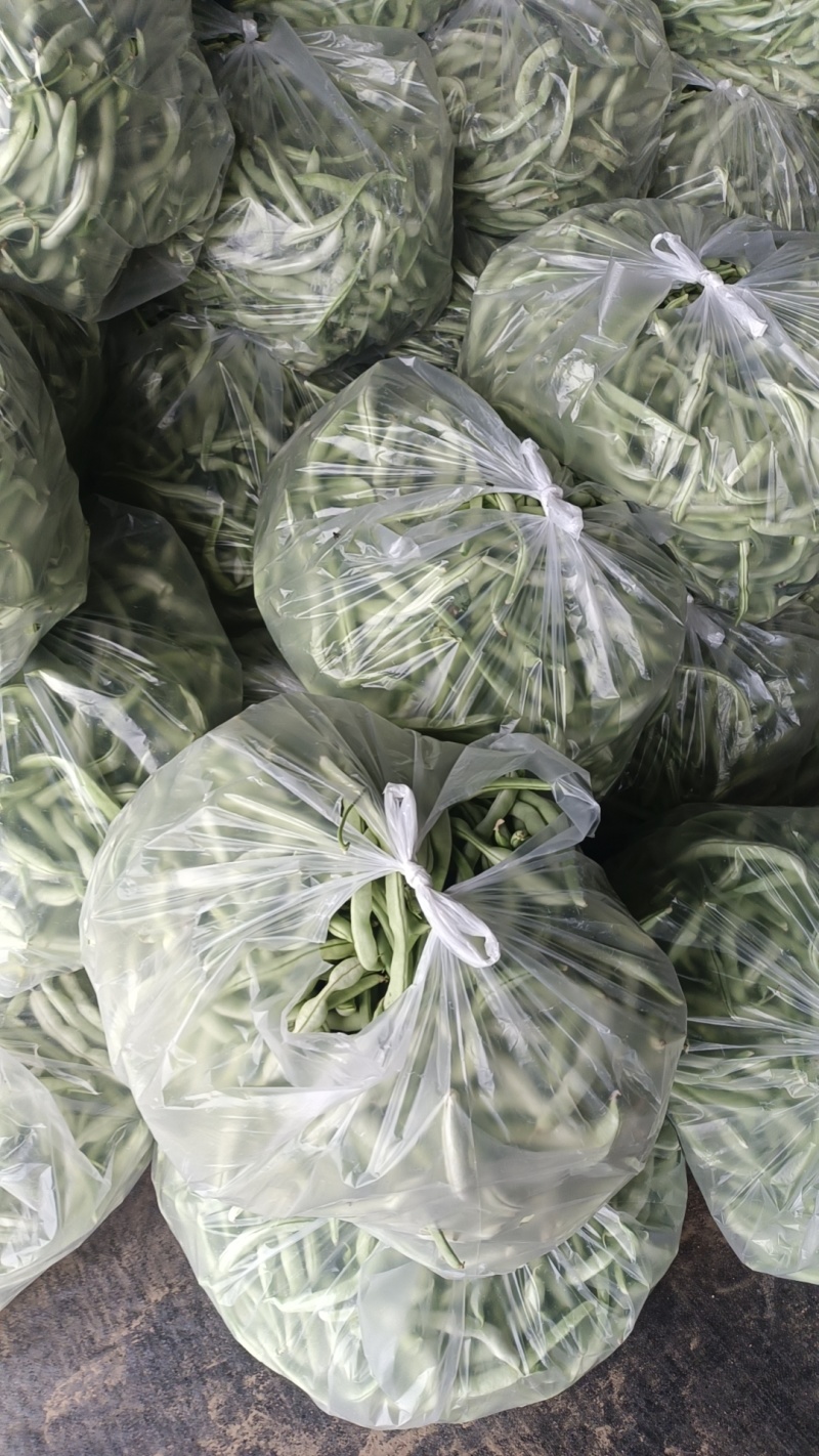 精品优一