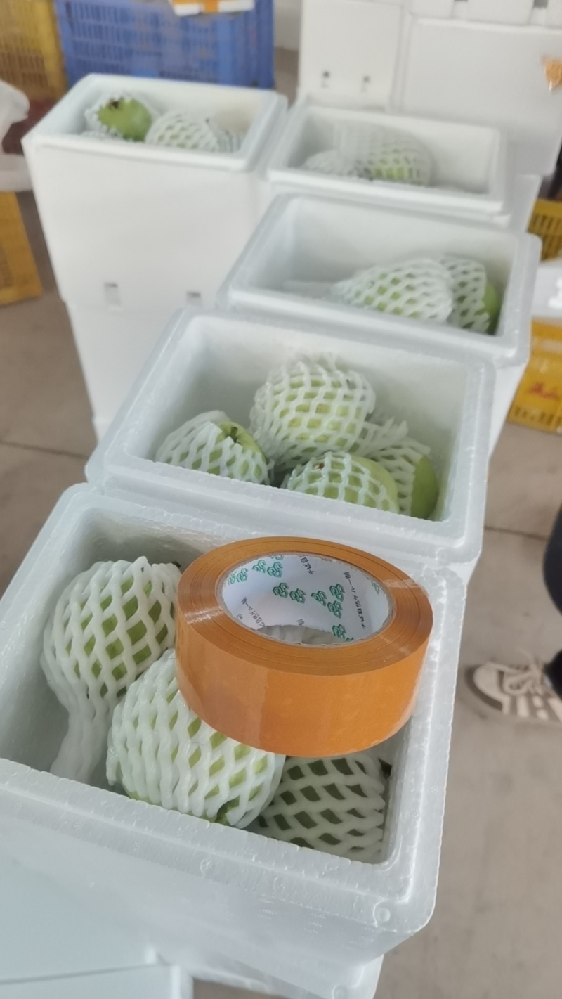 精品奶油芭乐全国可发产地直发基地直销