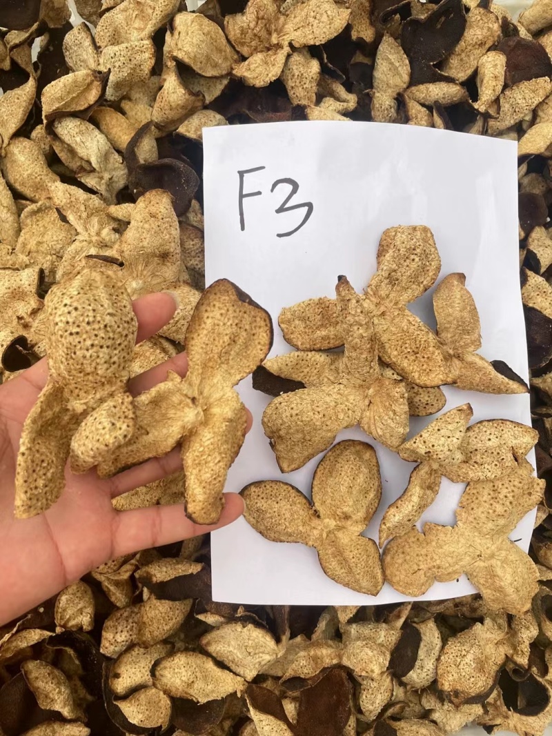 新会老陈皮，三花老陈皮，各规格五年，十年老陈皮。