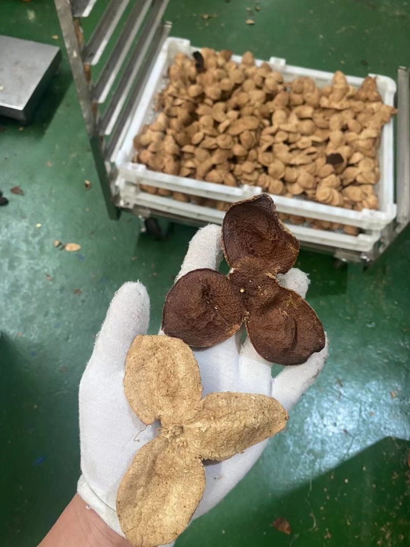 新会老陈皮，三花老陈皮，各规格五年，十年老陈皮。