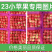 123小苹果辽宁西丰主产区，口感甜脆，半红以上大量上市！