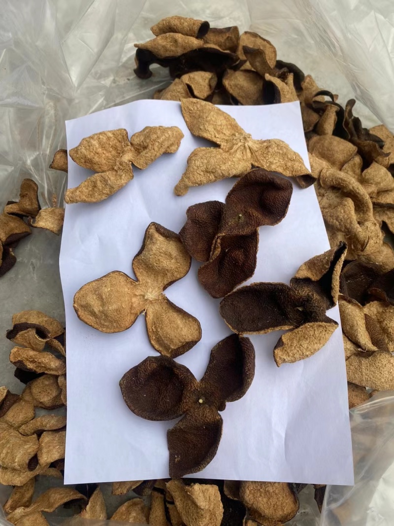 陈皮供应一手货源直达超高性价比选择在线服务无忧