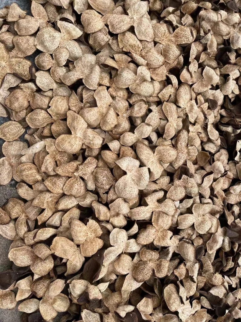 陈皮供应一手货源直达超高性价比选择在线服务无忧