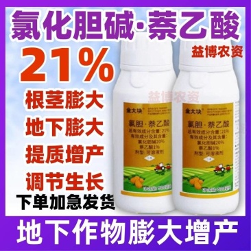 21%氯胆萘乙酸氯化胆碱马铃薯专用地下作物根茎膨大调节剂