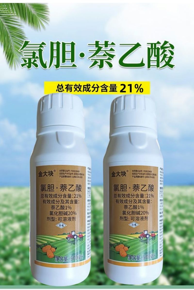 21%氯胆萘乙酸氯化胆碱马铃薯专用地下作物根茎膨大调节剂