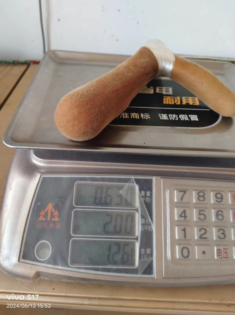 精品鹿茸自家鹿场当天采割新鲜梅花鹿鹿茸欢迎咨询