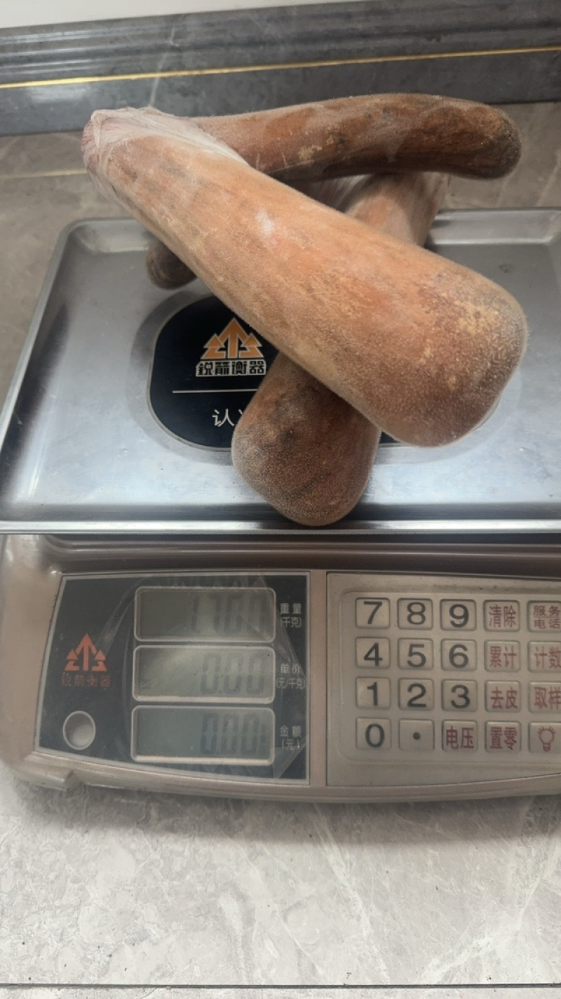 精品鹿茸自家鹿场当天采割新鲜梅花鹿鹿茸欢迎咨询