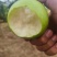 精品青皇冠梨品质保证产地直发量大从优支持线上验货