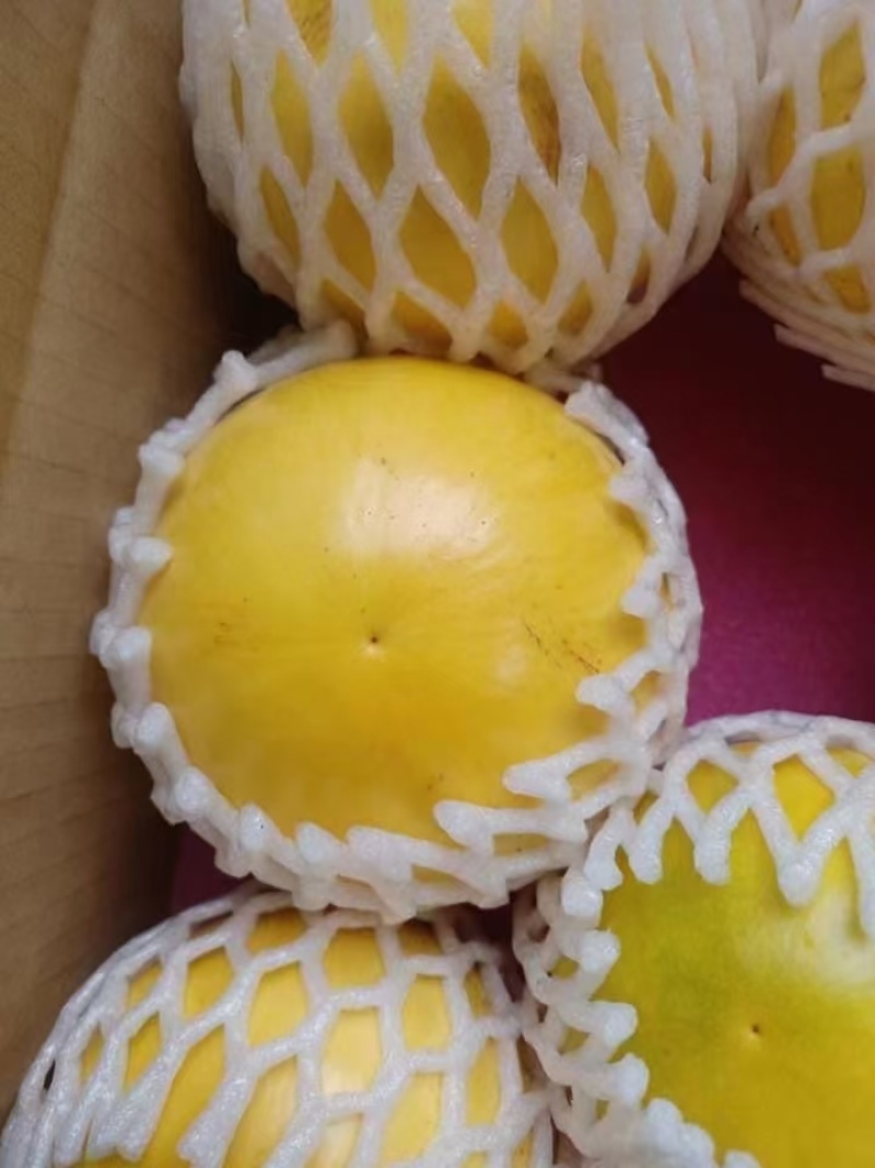 优品黄晶果，黄宝石黄晶果，果园直销