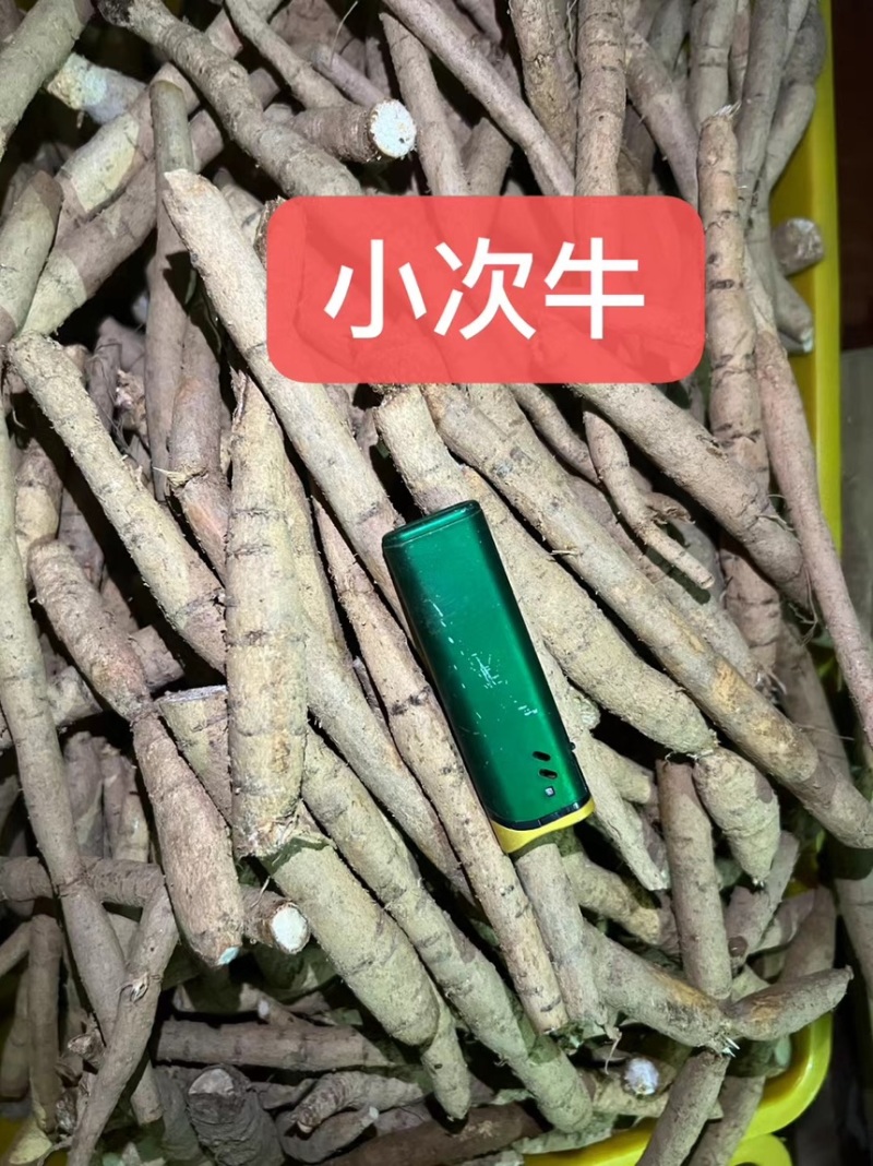 新鲜牛大力各种规格广东阳江原产地直供无杂质欢迎电话咨询