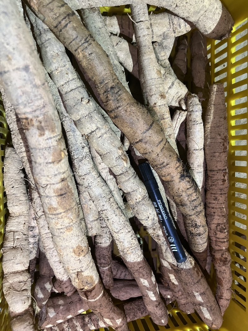广东阳江牛大力鲜货各种规格产地直供量大价优欢迎来电咨询