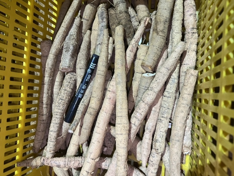 精品牛大力产地直发量大质优大牛中牛小牛小小牛大次牛