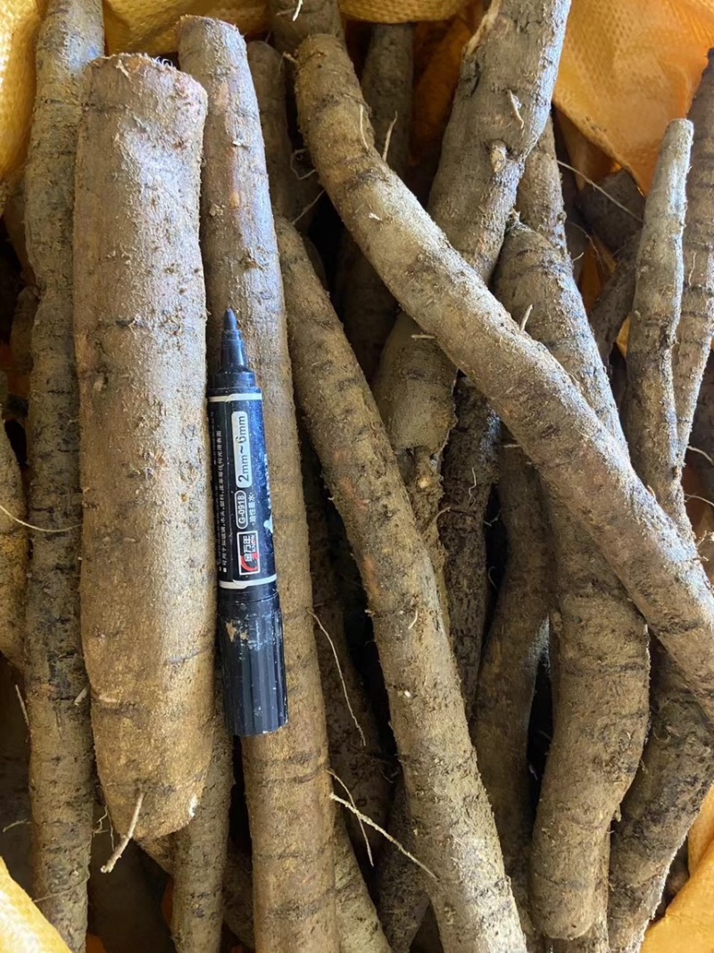 精品牛大力产地直发量大质优大牛中牛小牛小小牛大次牛