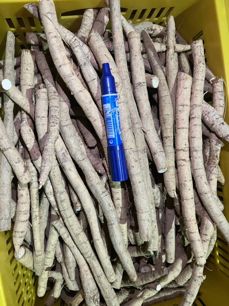 精品牛大力产地直发量大质优大牛中牛小牛小小牛大次牛