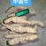 精品牛大力圆牛工厂常年供货大圆牛中圆牛小圆牛小小圆牛