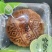 精品月饼