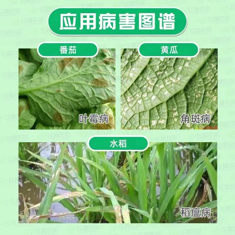 丹微6%春雷霉素水稻稻瘟病番茄黄瓜叶霉枯萎病农药杀菌剂