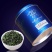 《安溪铁观音批发价》茶叶清香型青茶铁观音散茶罐装500g