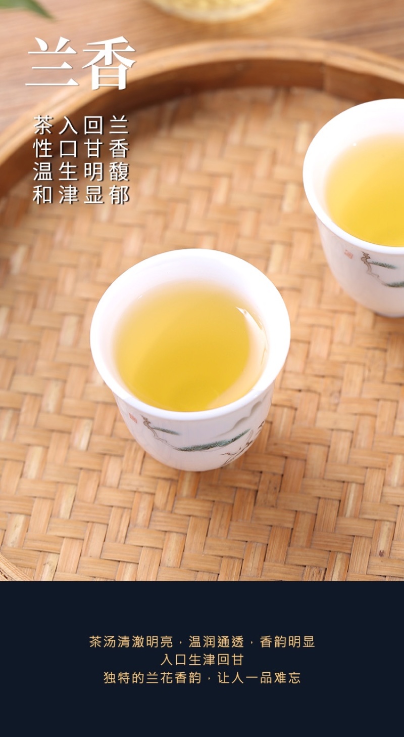 《安溪铁观音批发价》茶叶清香型青茶铁观音散茶罐装500g
