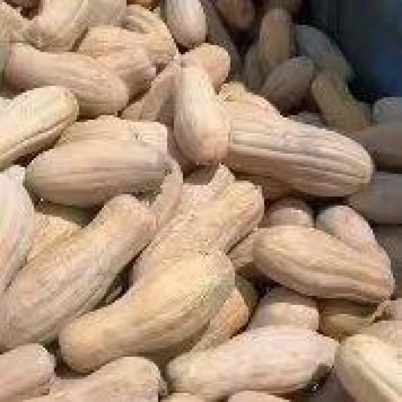 金韩蜜本南瓜基地直供，货源充足代发全国