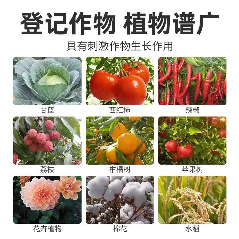 施耐净80%乙蒜素大蒜根腐病枯萎青枯病青苔病农药杀菌剂