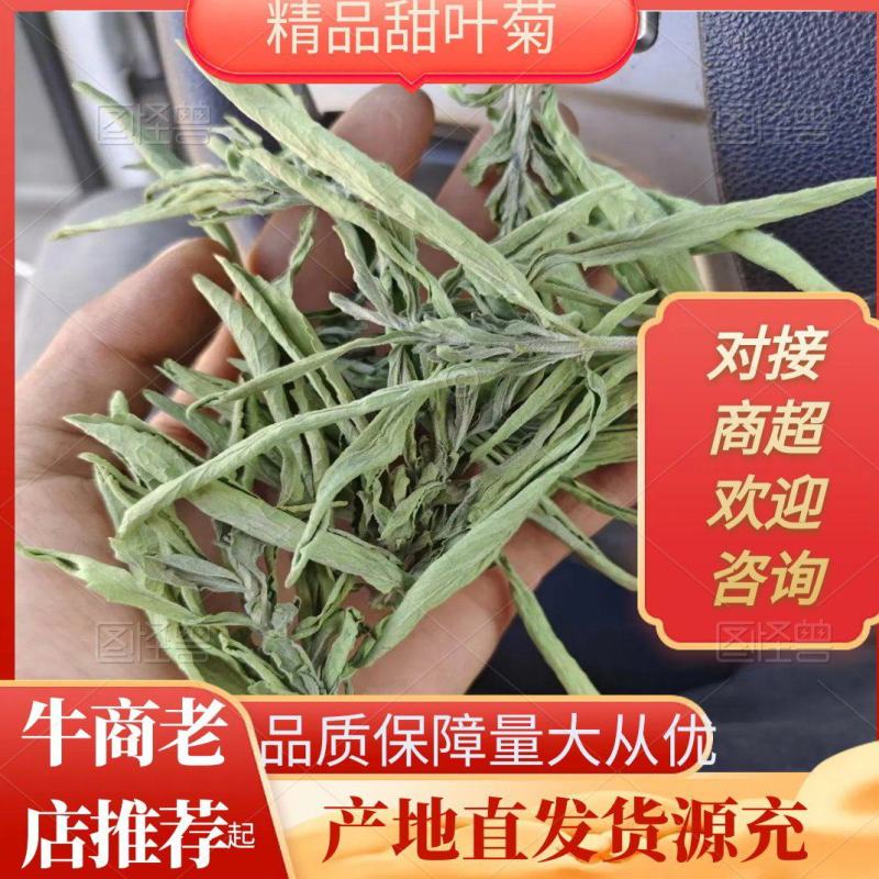精品甜叶菊新货马上上市了无土无黑叶产地直发品质高