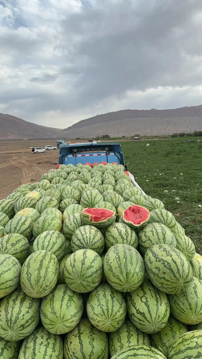 宁夏中卫硒砂瓜，产地直发质量保证，视频看货全国发货