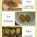 福建特产咸橄榄煲汤盐津腌制泡水炖汤炖肉泡茶三宝扎咸橄榄蜜