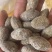 福建特产咸橄榄煲汤盐津腌制泡水炖汤炖肉泡茶三宝扎咸橄榄蜜