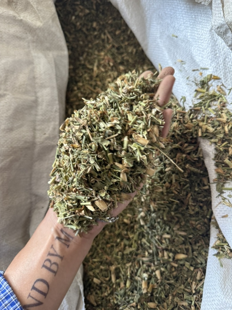 瞿麦巨麦石竹巨句麦保庆药材批发瞿麦正品