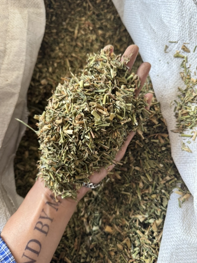 瞿麦巨麦石竹巨句麦保庆药材批发瞿麦正品