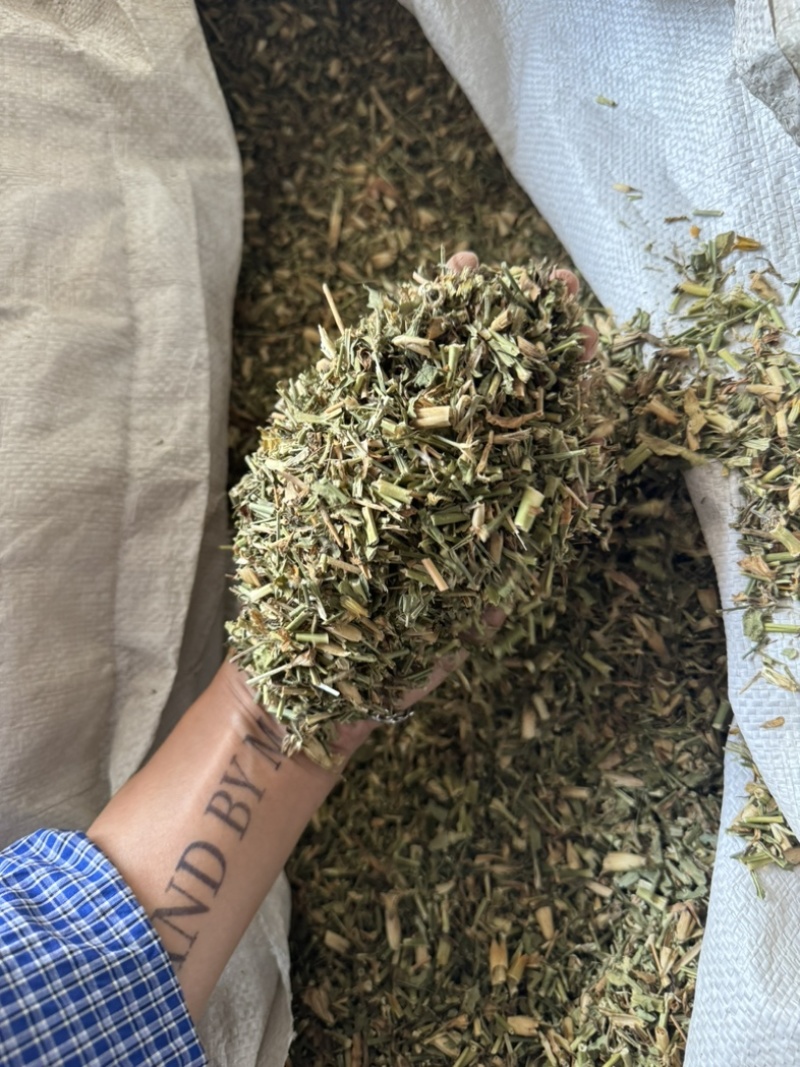 瞿麦巨麦石竹巨句麦保庆药材批发瞿麦正品