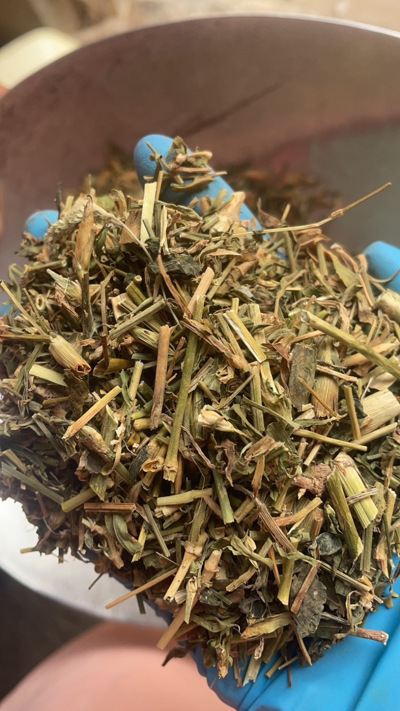 瞿麦巨麦石竹巨句麦保庆药材批发瞿麦正品