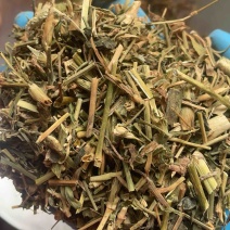 瞿麦巨麦石竹巨句麦保庆药材批发瞿麦正品