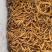 1400条一斤冬虫夏草不过百一克