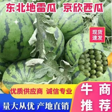 吉林乾安县西瓜产区现货供应产地直发可视频看货