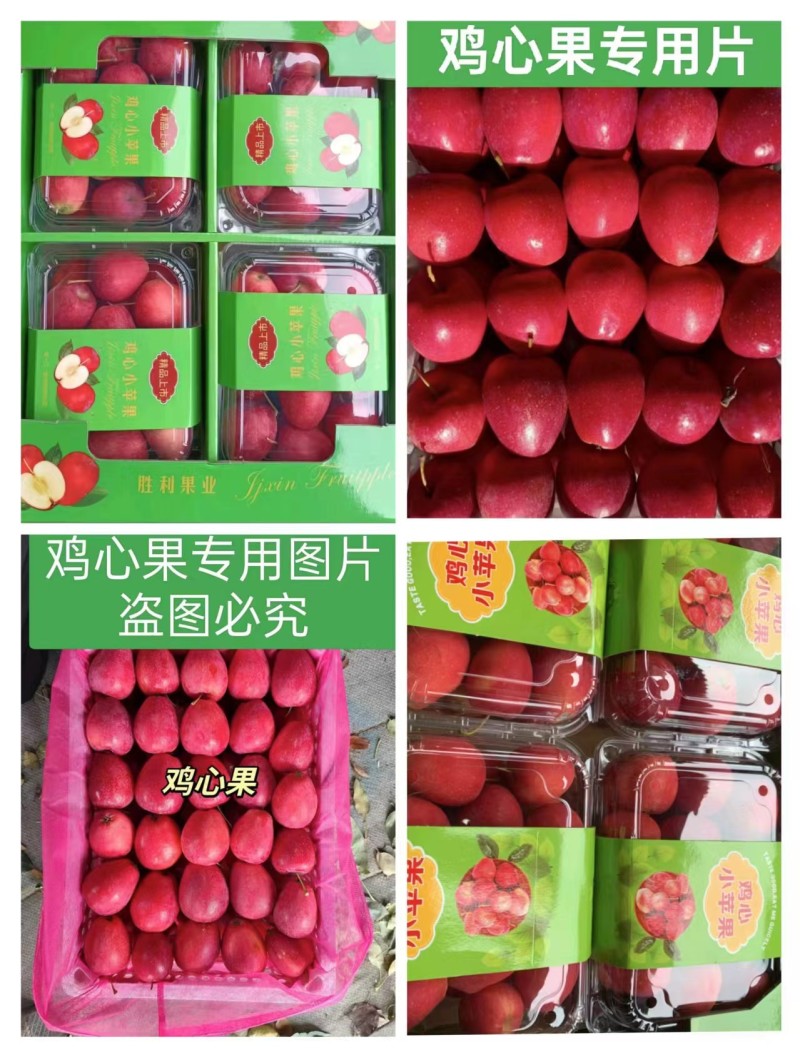 大量上市鸡心果，无雹伤，有需要的欢迎来采购