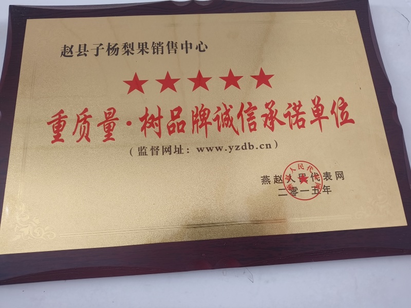皇冠梨海量上市，市场超市，出口贸易储存冷库已经开始