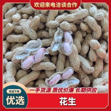 精选干花生，花生米，炒货，榨油，市场，电商，大吨位供应