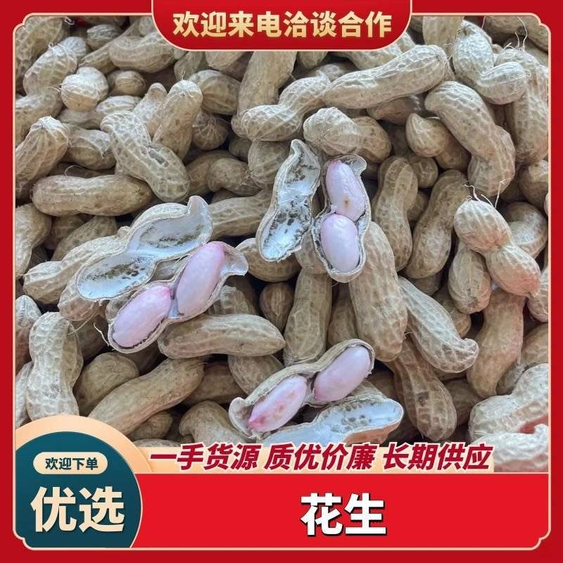 精选干花生，花生米，炒货，榨油，市场，电商，大吨位供应