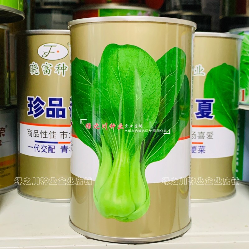 珍品夏青梗菜种子耐热耐雨不易拔节束腰四季抗热小青菜种子