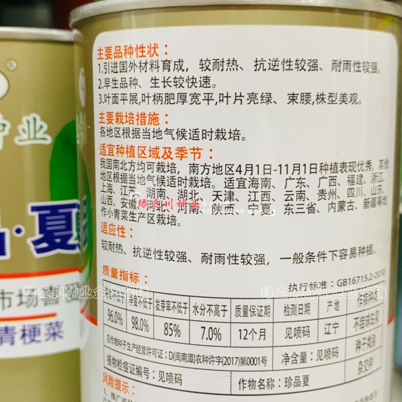 珍品夏青梗菜种子耐热耐雨不易拔节束腰四季抗热小青菜种子