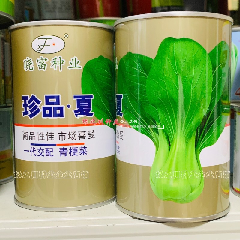 珍品夏青梗菜种子耐热耐雨不易拔节束腰四季抗热小青菜种子