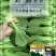 珍品66青梗菜种籽耐热青菜种子耐雨水耐湿蔬菜种子甜嫩好吃