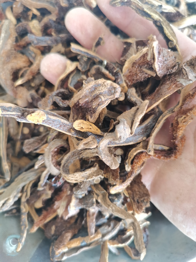 骨碎补正品骨碎补毛姜24小时发货