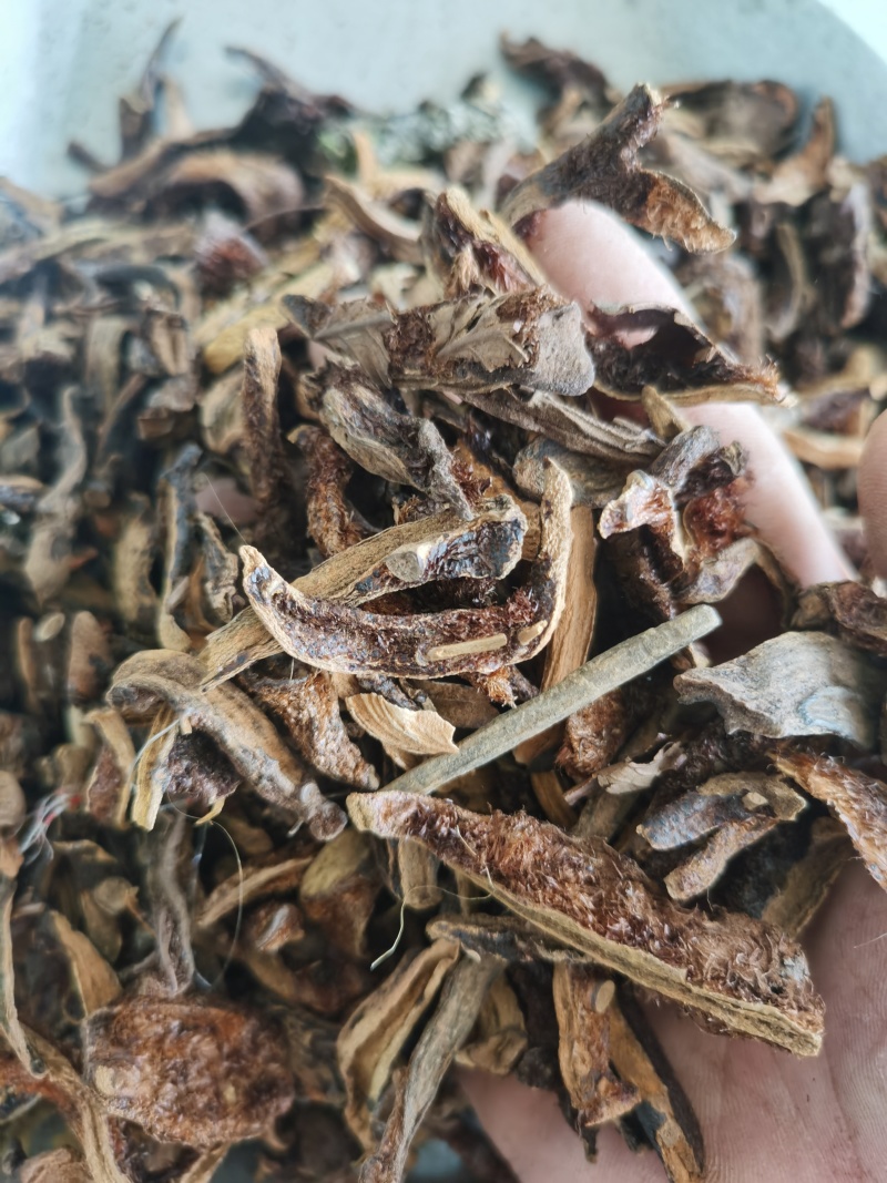 骨碎补正品骨碎补毛姜24小时发货